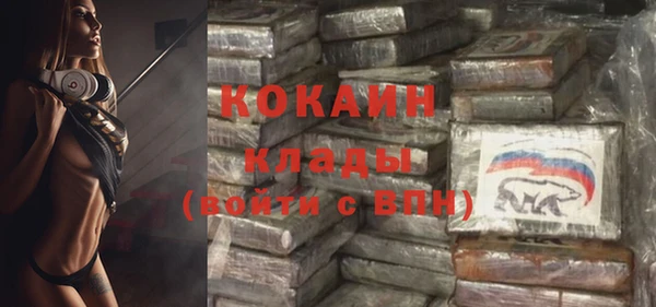 mix Богородицк