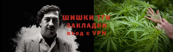 шишки Сосновка