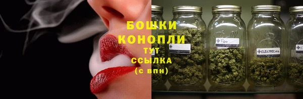 шишки Сосновка