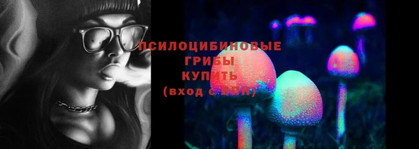 mix Богородицк
