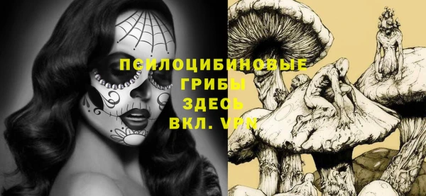 ешки Сосновоборск