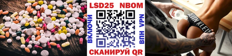 ЛСД экстази ecstasy  Шенкурск 